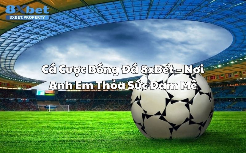 Cá cược bóng đá 8xbet