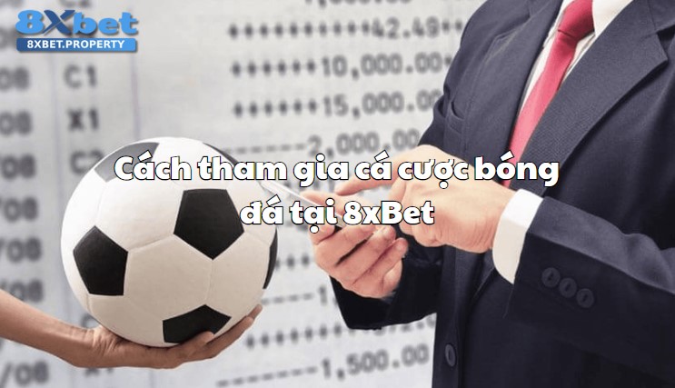 Hướng dẫn tham gia cá cược bóng đá 8xbet