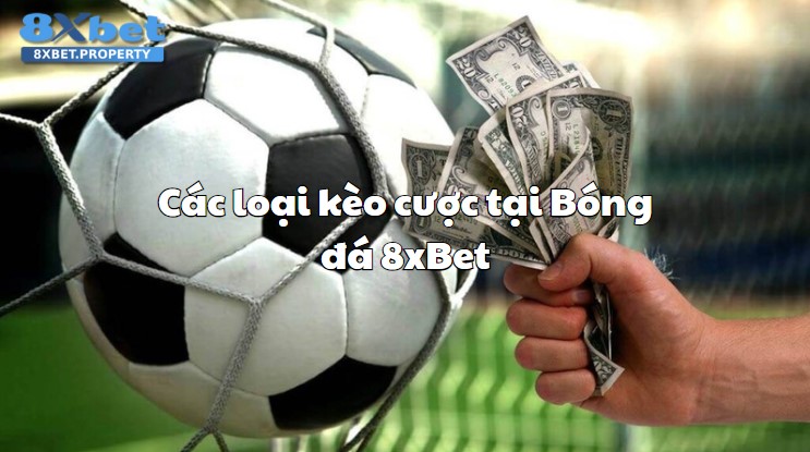 Kèo cược tại bóng đá 8xbet