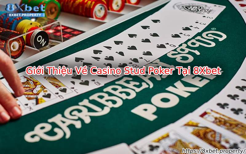 Giới thiệu Casino Stud Poker 8xbet